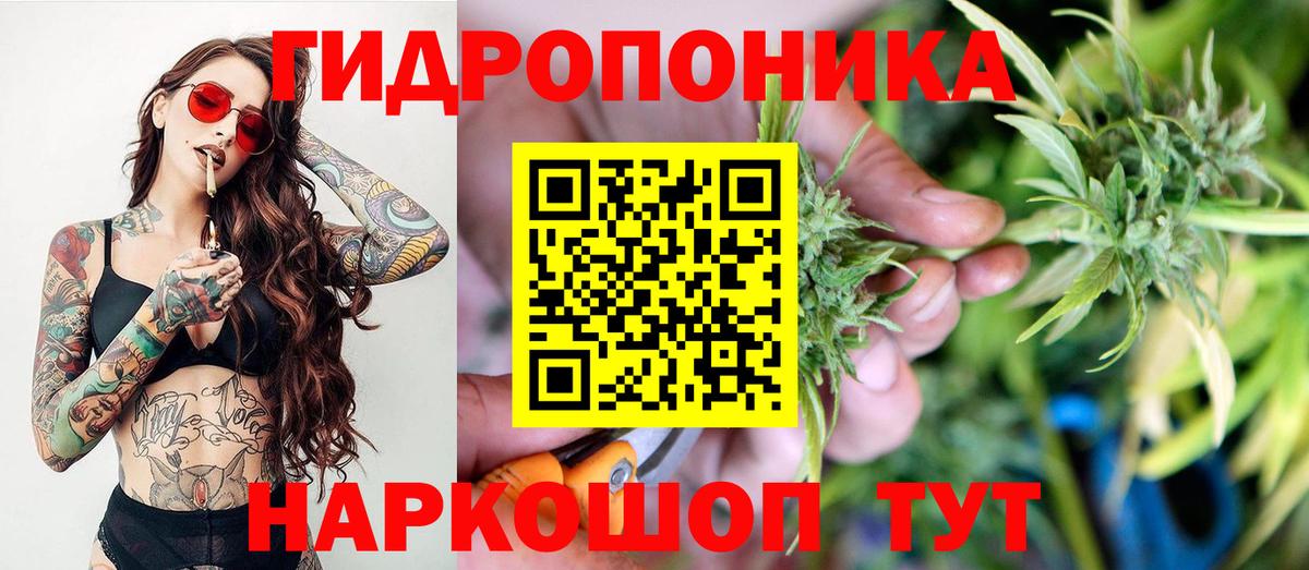 Каннабис OG Kush Советск